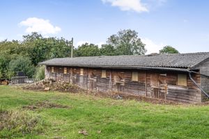 Photo 10- click for photo gallery